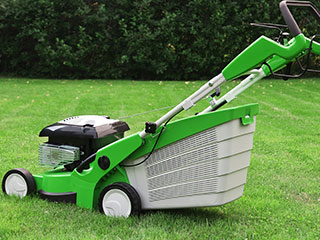 Maintaining Your Lawns Lakeland, FL